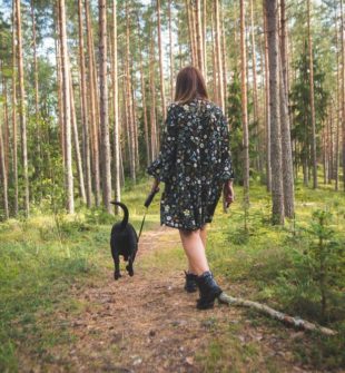 Flexliner til hunde: Det gode valg